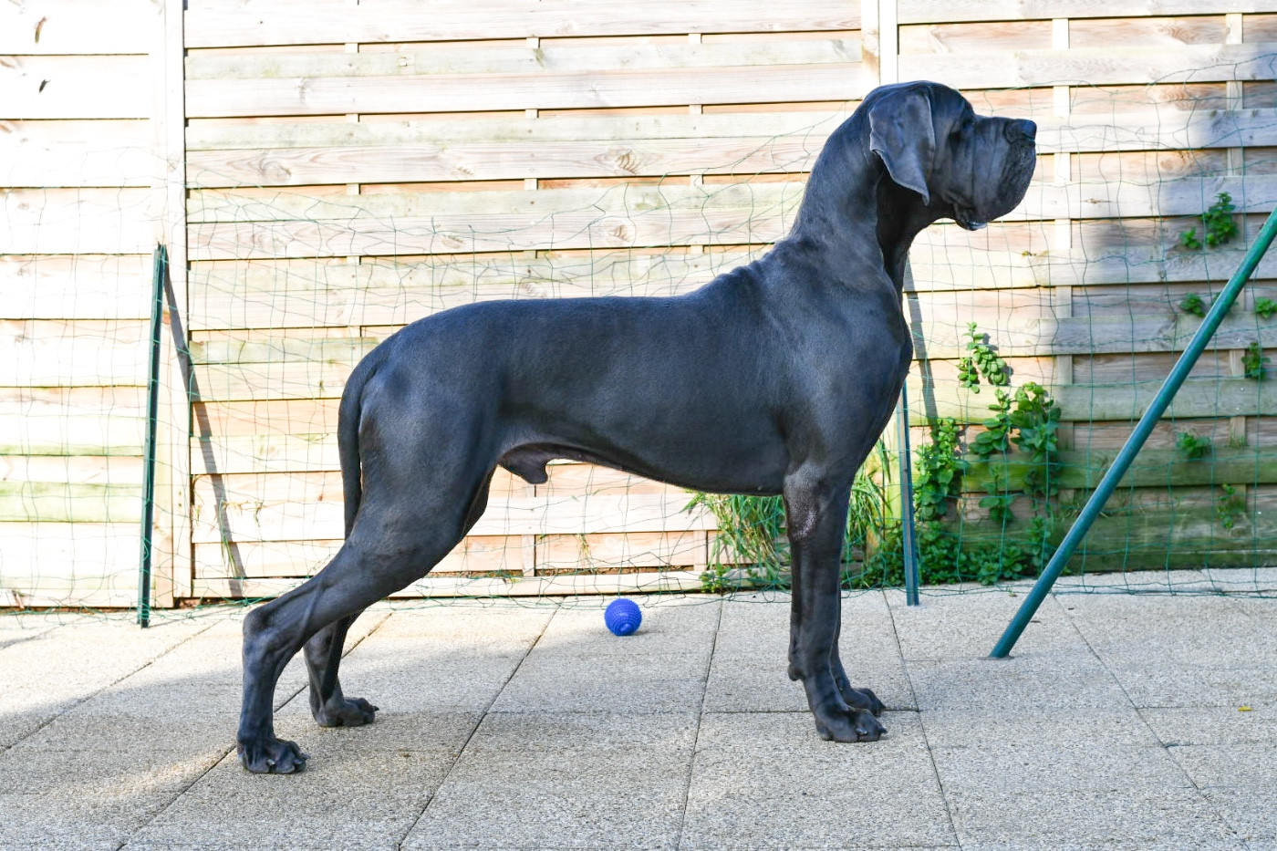 Uvarino Des Sources Du Grand Dolmen
