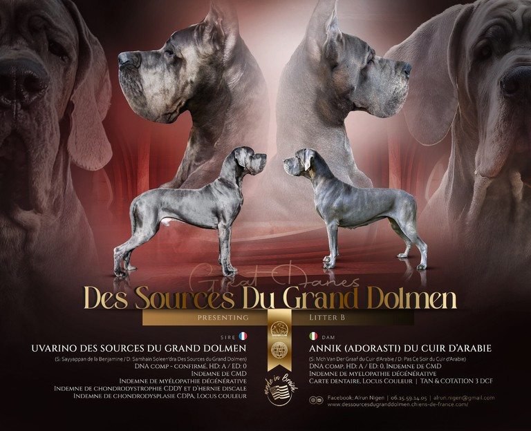 Les bébés 2026 arrivent !